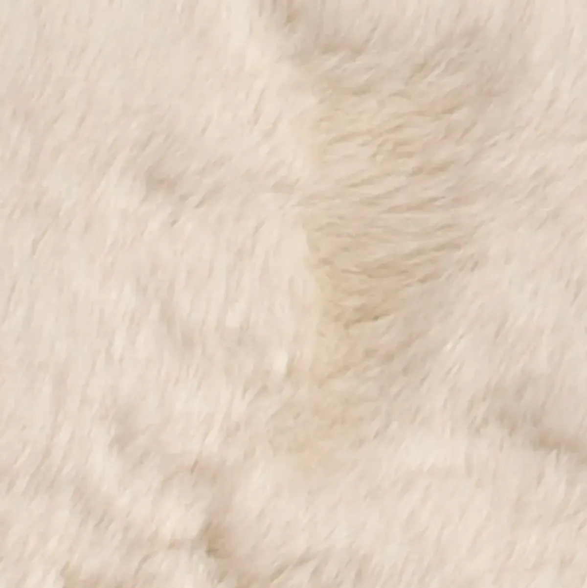 Faux Mink Fur 5' x 8' Area Rug - Ivory