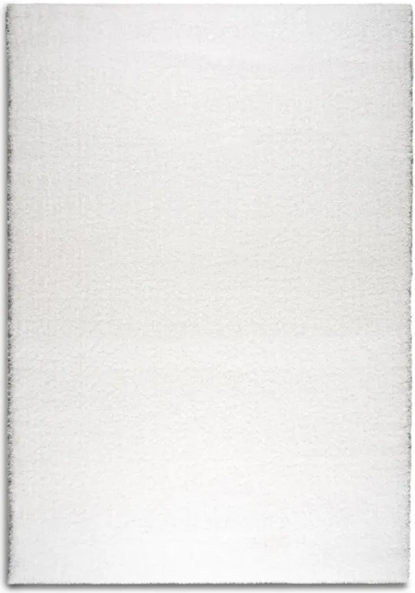 Shag 5' X 7' Area Rug - White