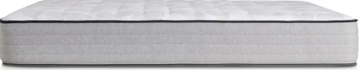 Sealy Diggens Firm Twin Mattress