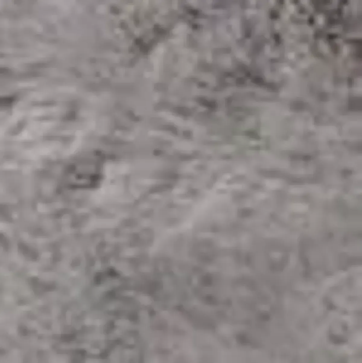 Faux Fur Throw - Big Bear Gray