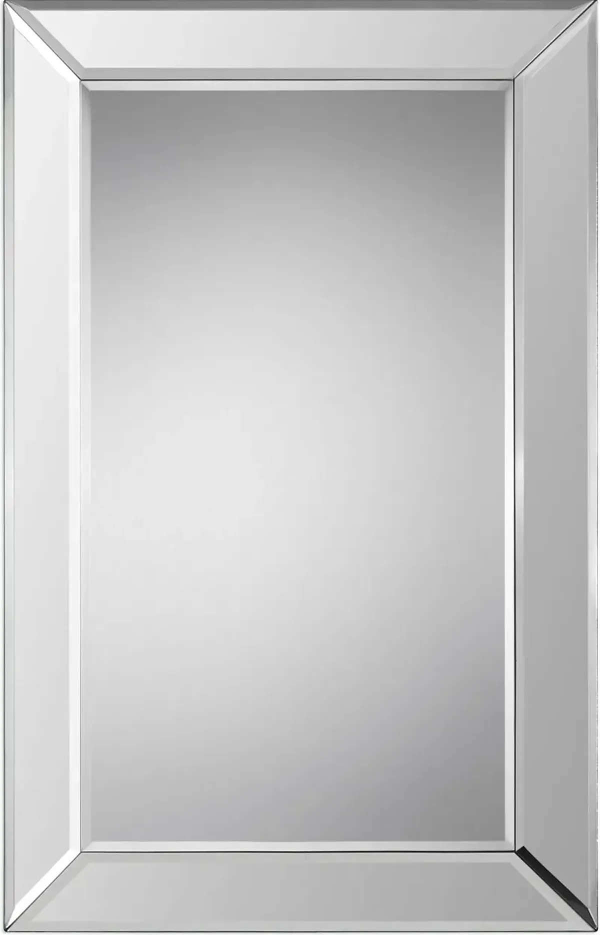 Hildegard 34'' x 22'' Wall Mirror