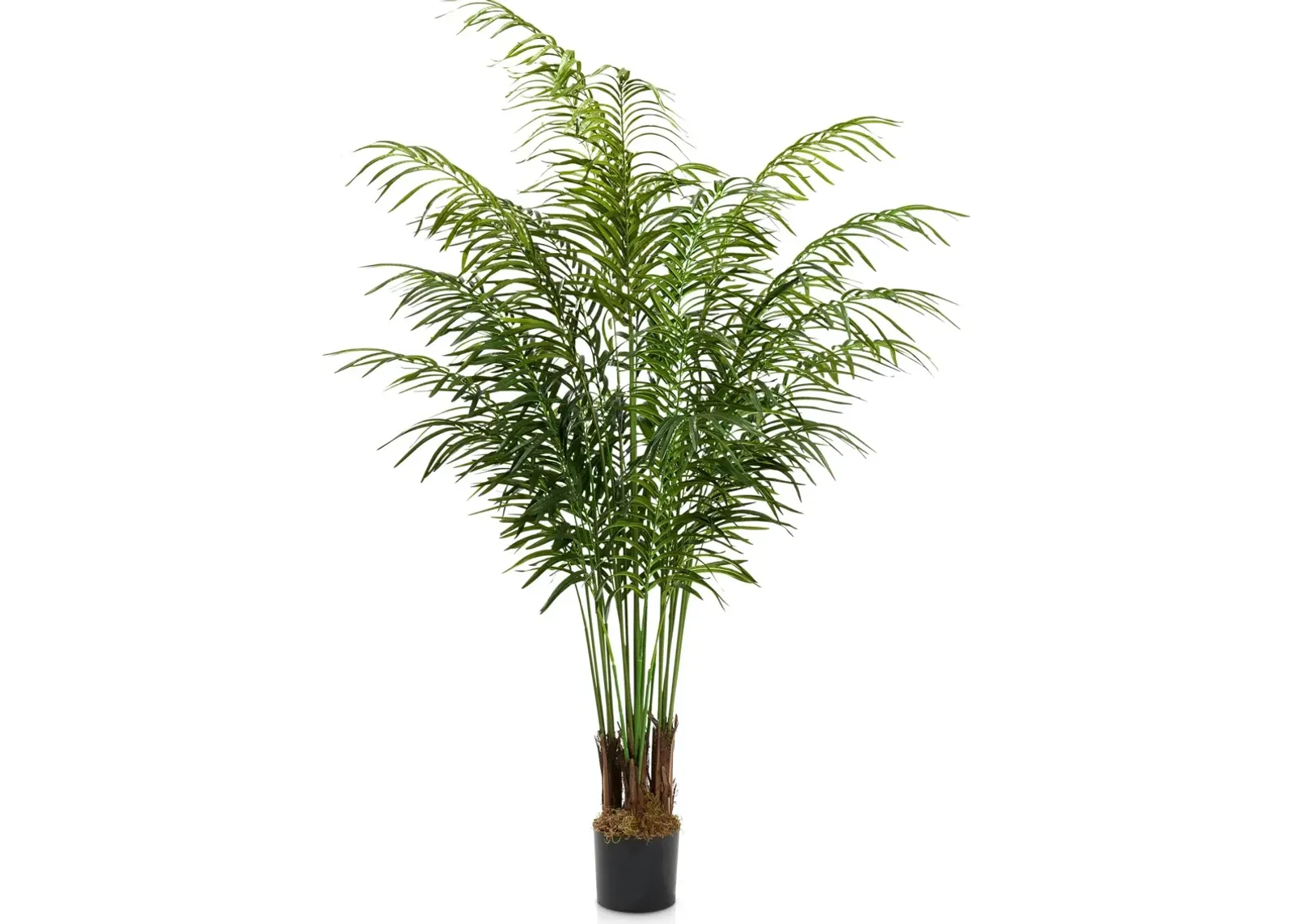 Faux 6' Areca Palm Plant