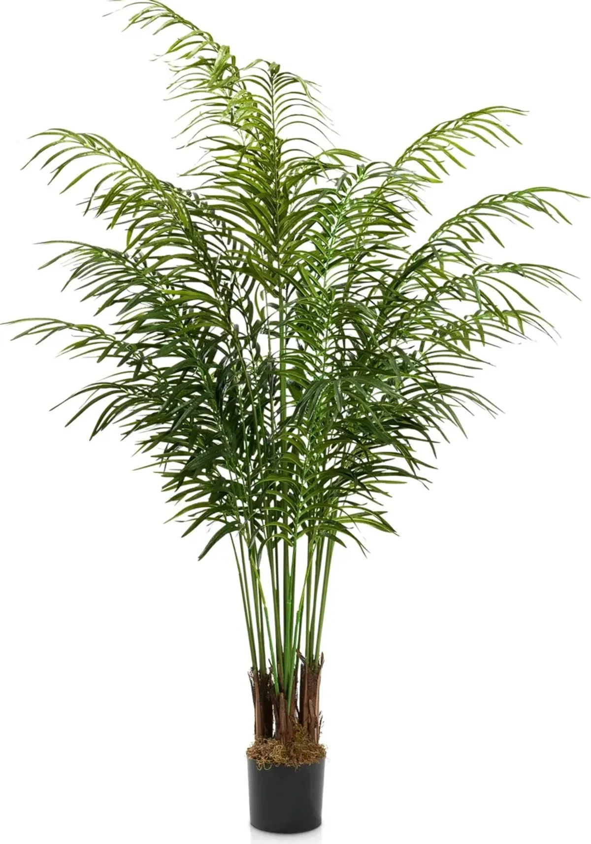 Faux 6' Areca Palm Plant