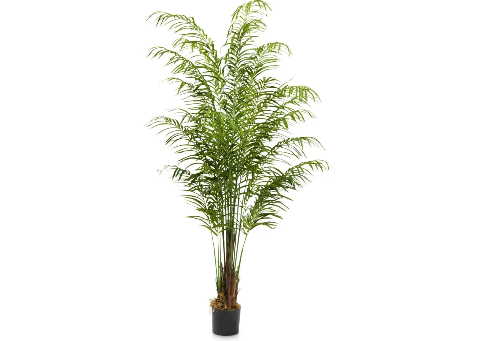 Faux 8' Areca Palm Plant