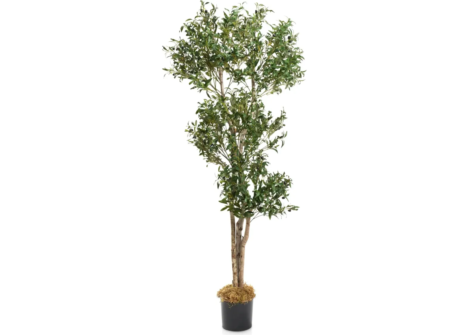 Faux 6.5' Olive Tree