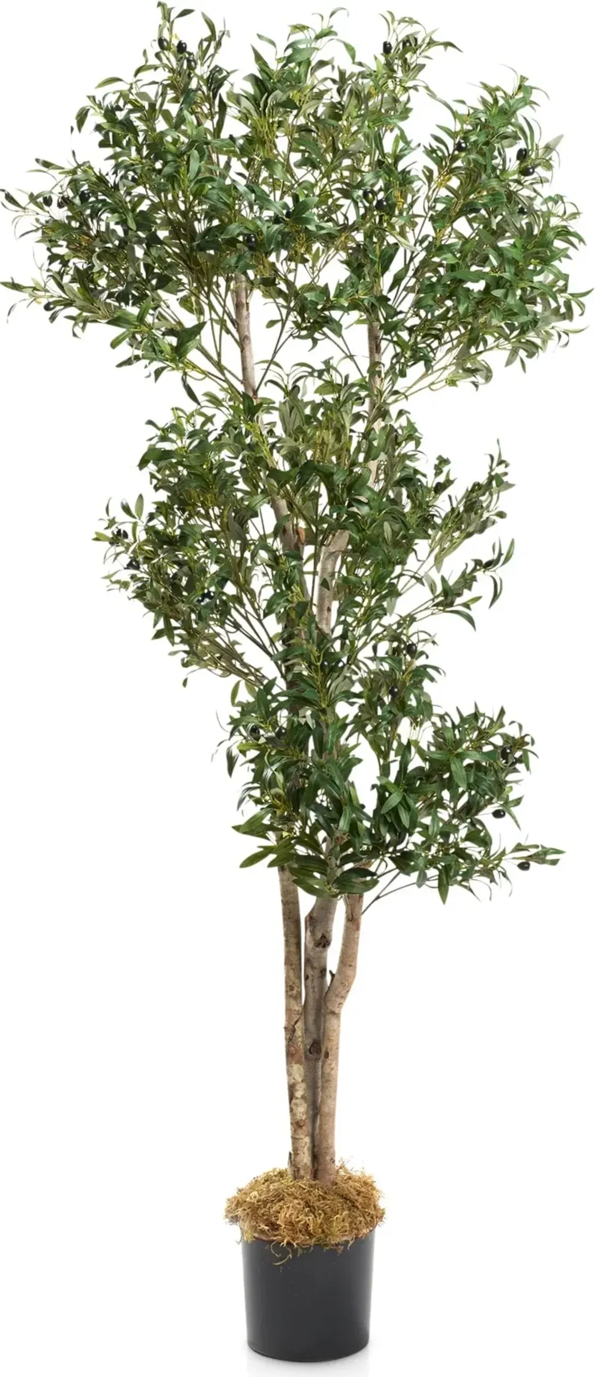 Faux 6.5' Olive Tree