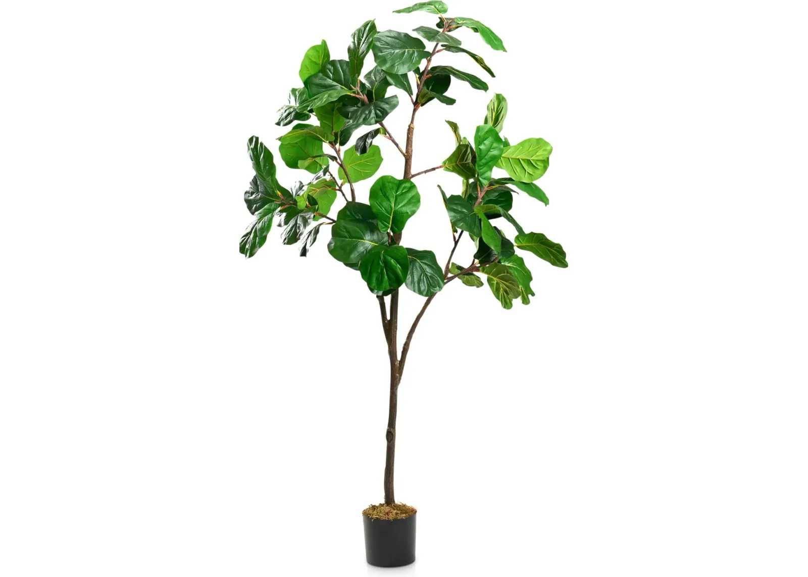 Faux 7' Fiddle Leaf Fig Tree