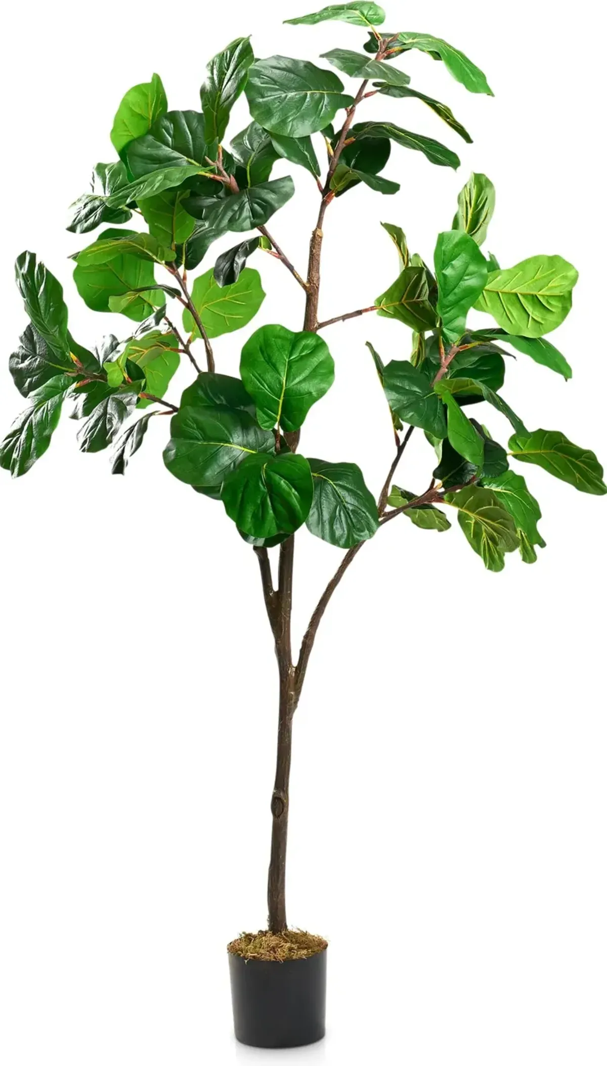 Faux 7' Fiddle Leaf Fig Tree