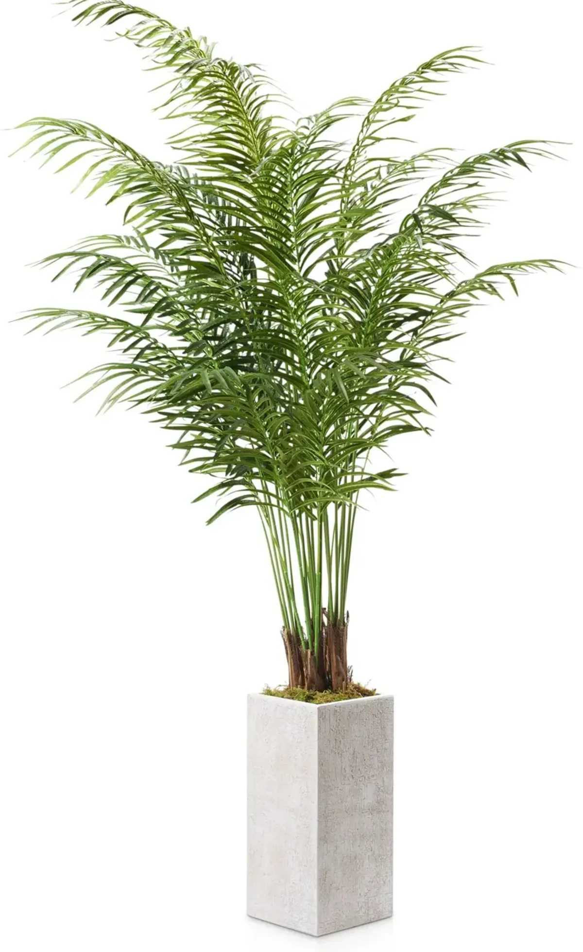 Faux 7.5' Areca Palm Plant with White Sanibel Planter - Medium