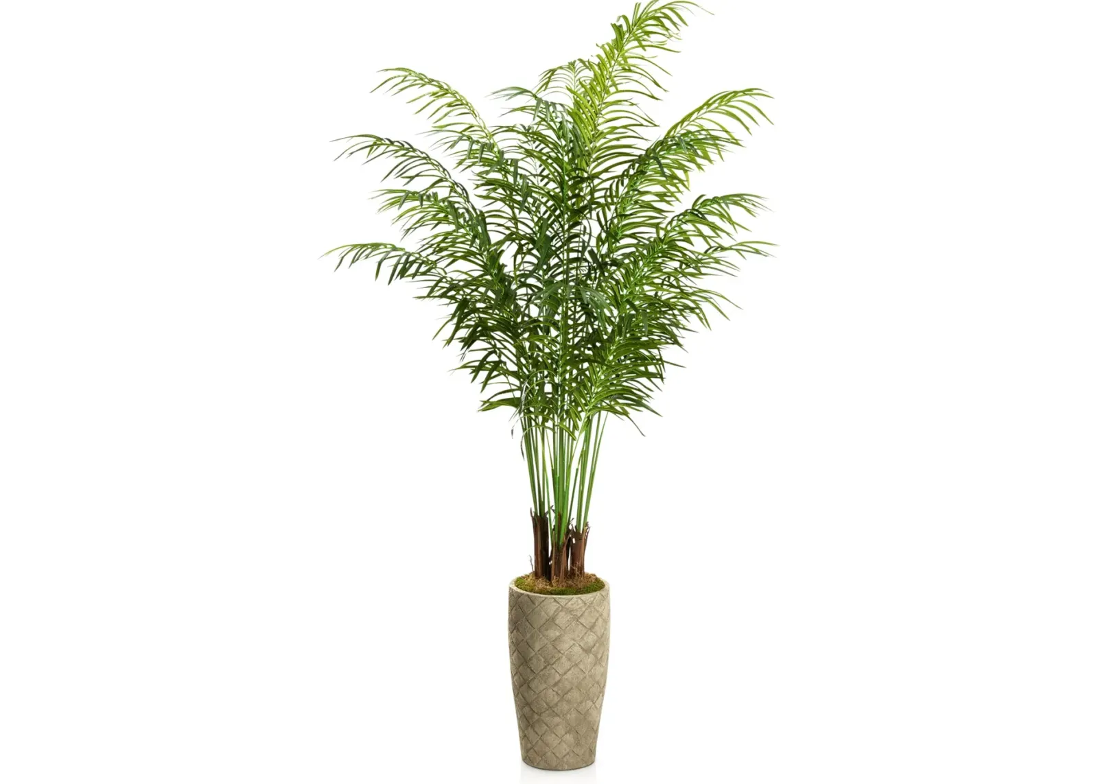 Faux 7.5' Areca Palm Plant with Verona Terracotta Planter - Medium