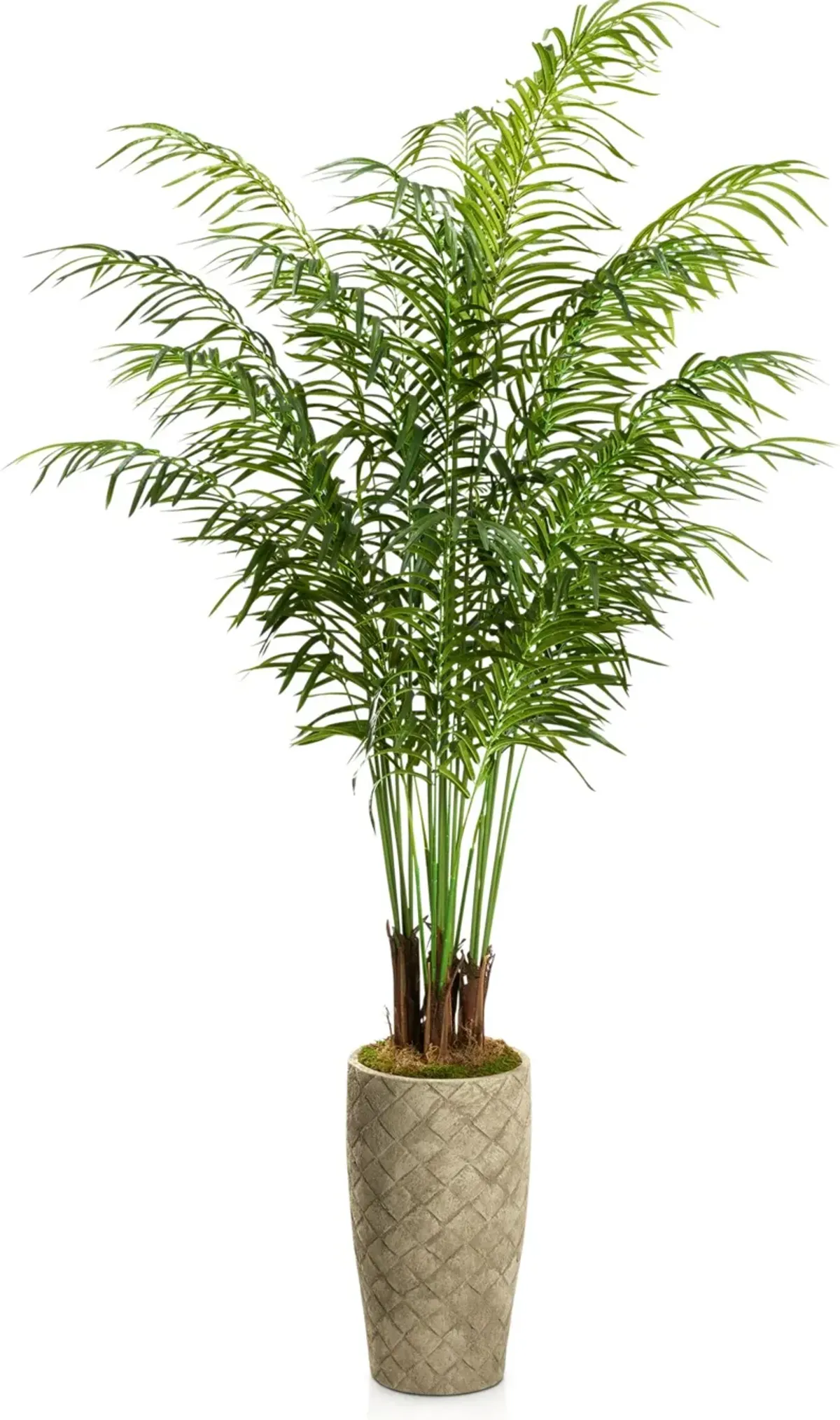 Faux 7.5' Areca Palm Plant with Verona Terracotta Planter - Medium