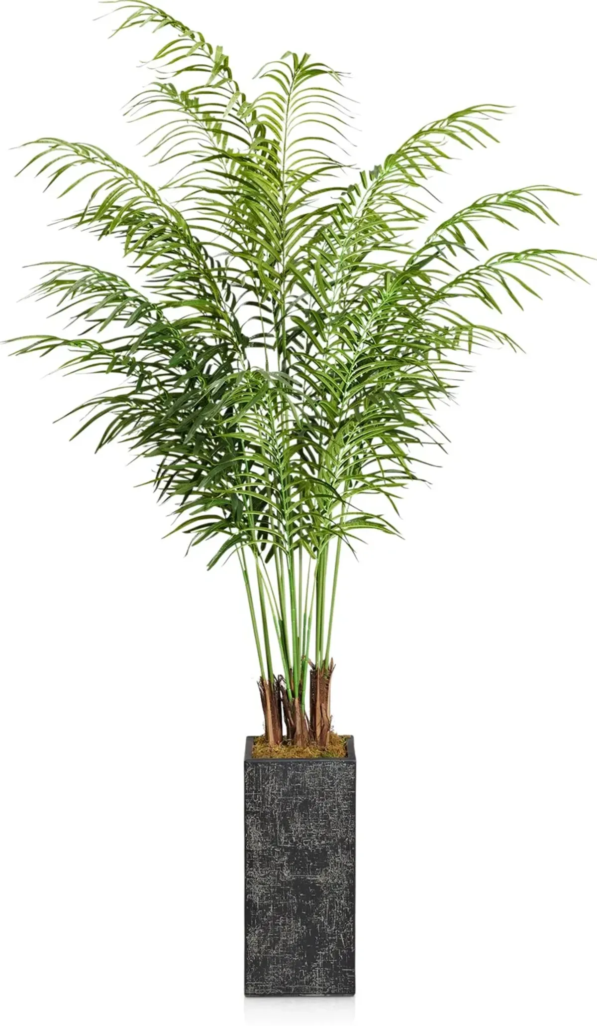 Faux 7.5' Areca Palm Plant with Black Sanibel Planter - Medium