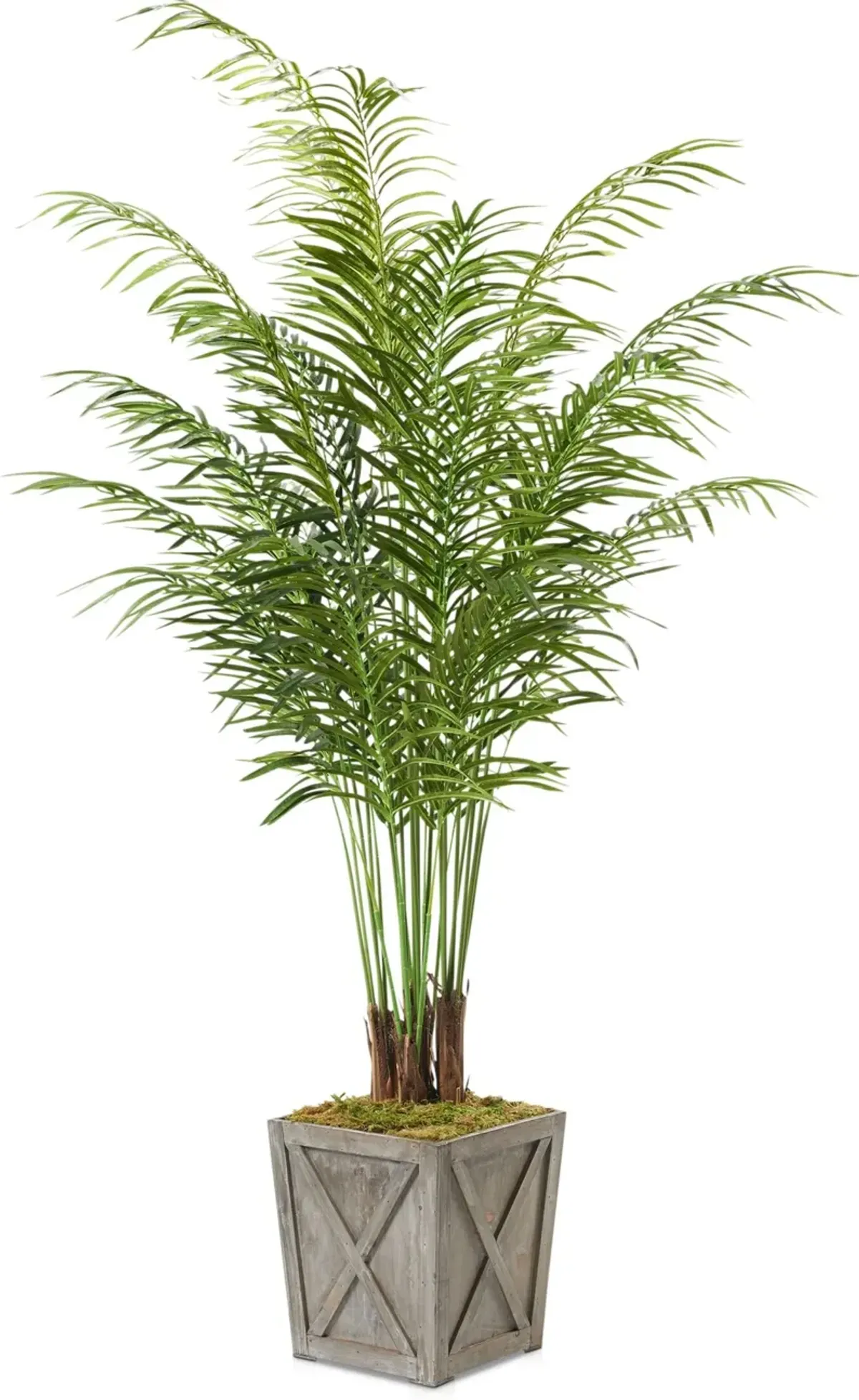 Faux 7' Areca Palm Plant with Farmhouse Wood Planter - Medium