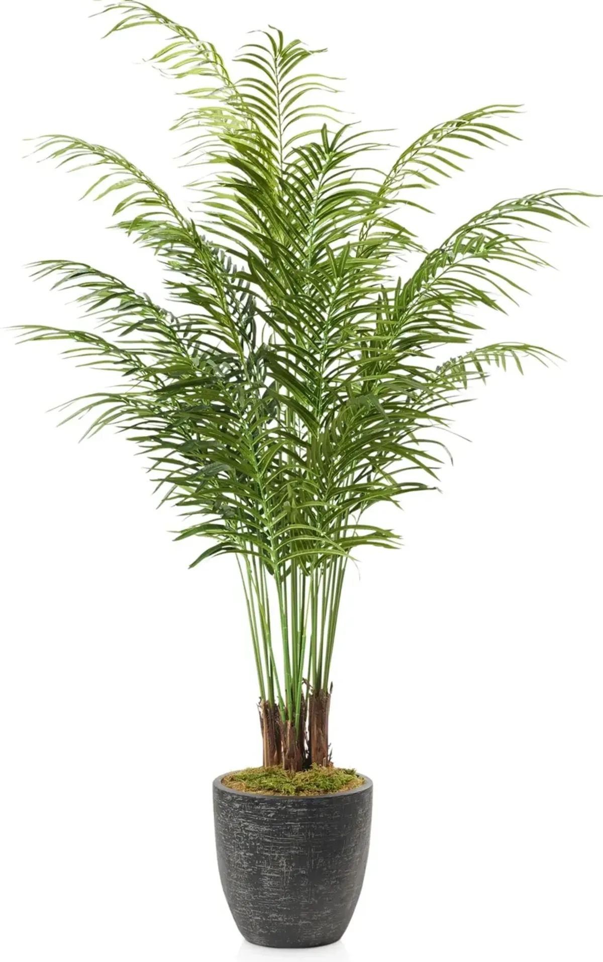 Faux 7' Areca Palm Plant with Summit Planter - Medium