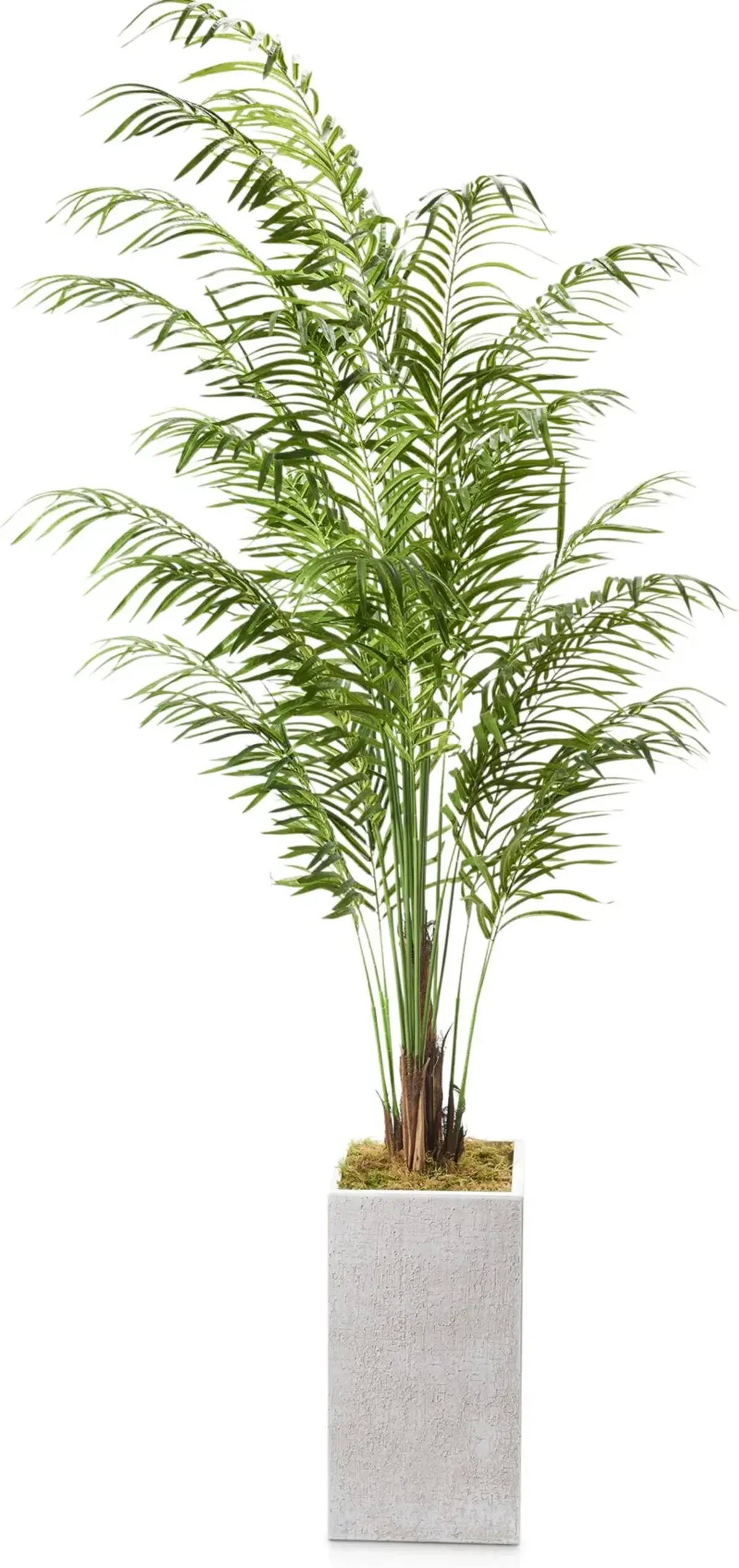 Faux 9.5' Areca Palm Plant with White Sanibel Planter - Large