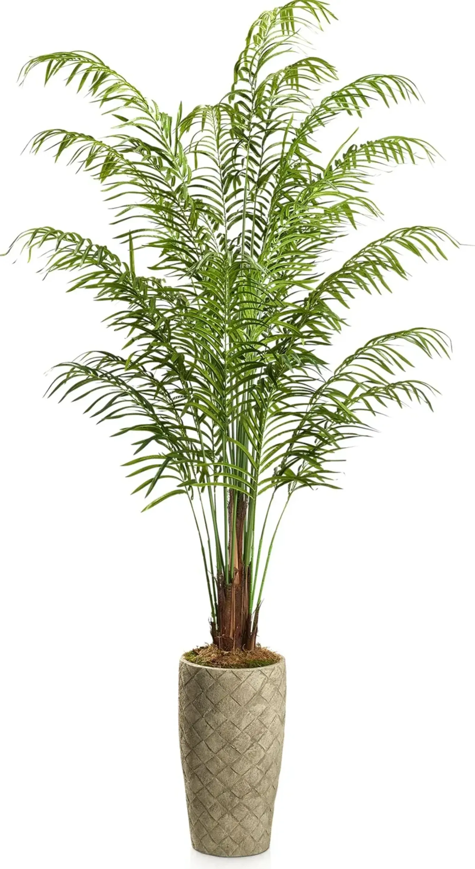 Faux 9.5' Areca Palm Plant with Verona Terracotta Planter - Medium