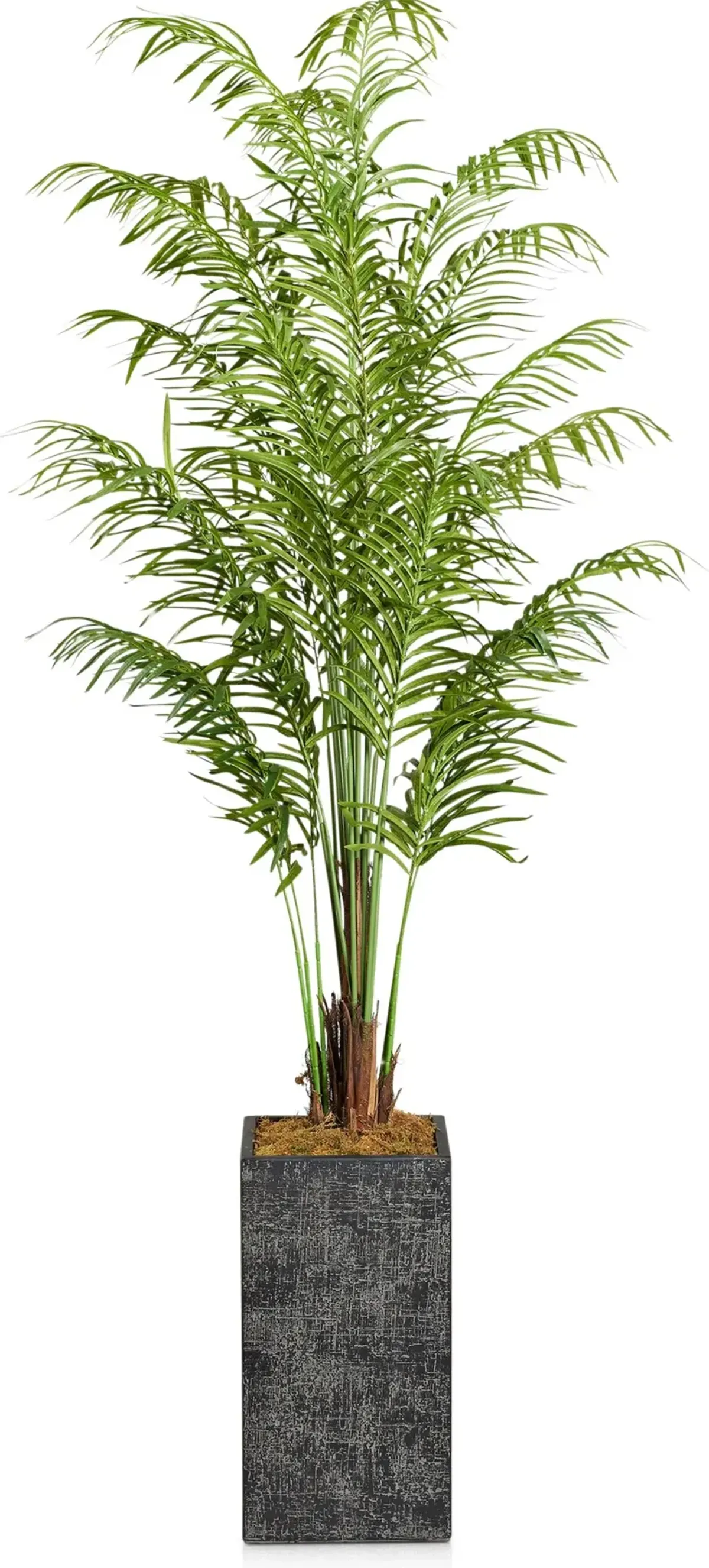 Faux 9.5' Areca Palm Plant with Black Sanibel Planter - Large