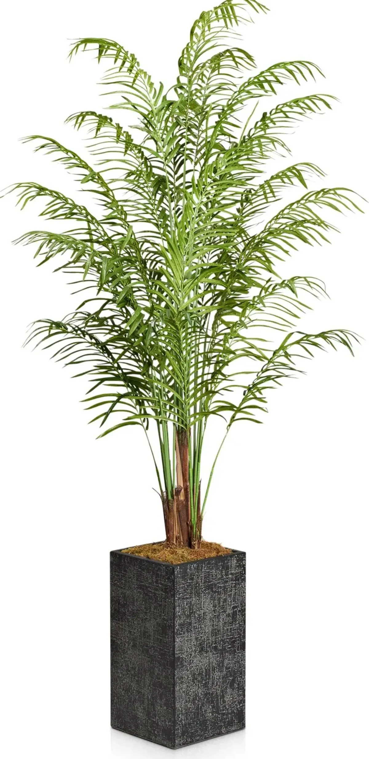 Faux 9.5' Areca Palm Plant with Black Sanibel Planter - Large