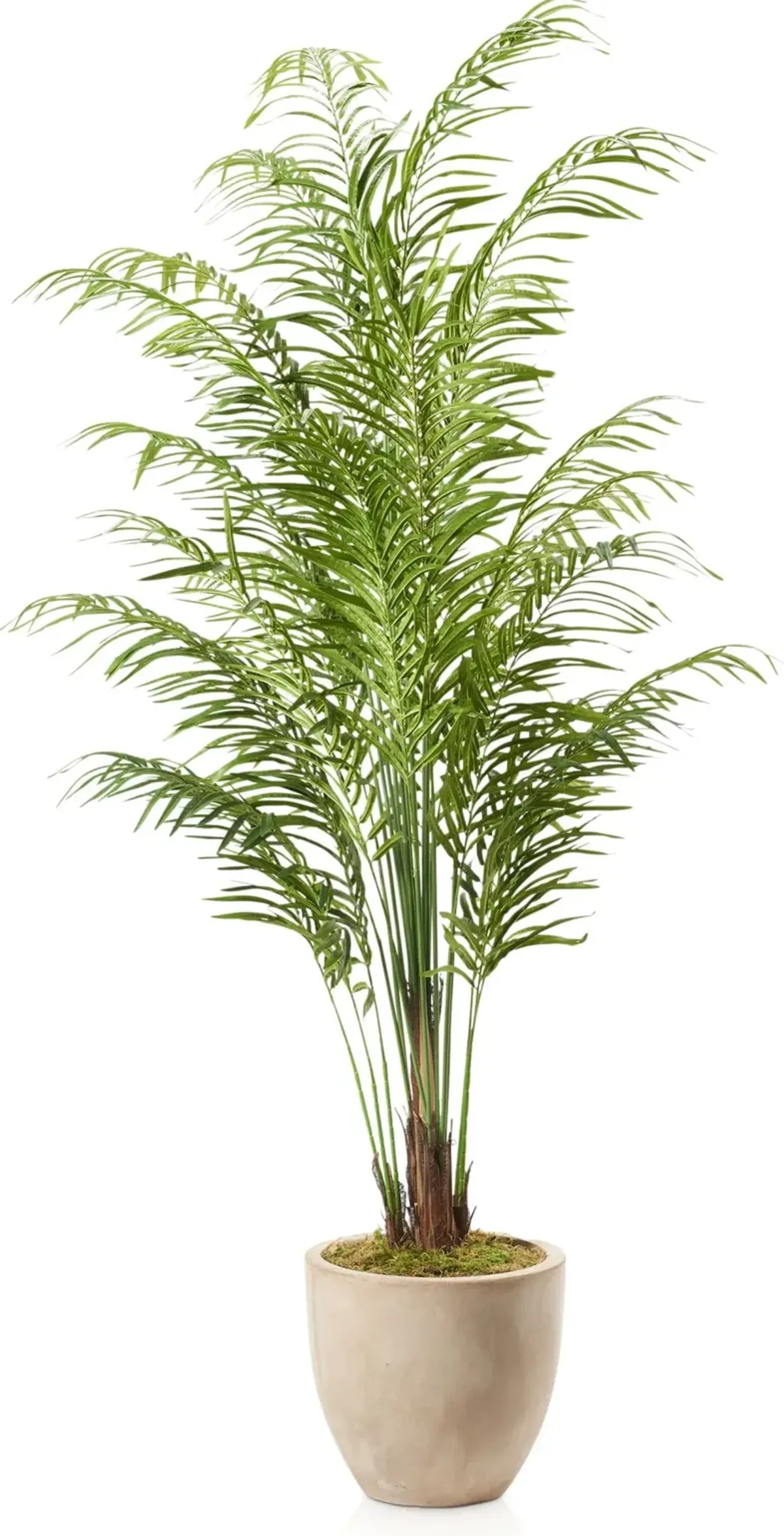 Faux 9' Areca Palm Plant with Sandstone Planter - Large