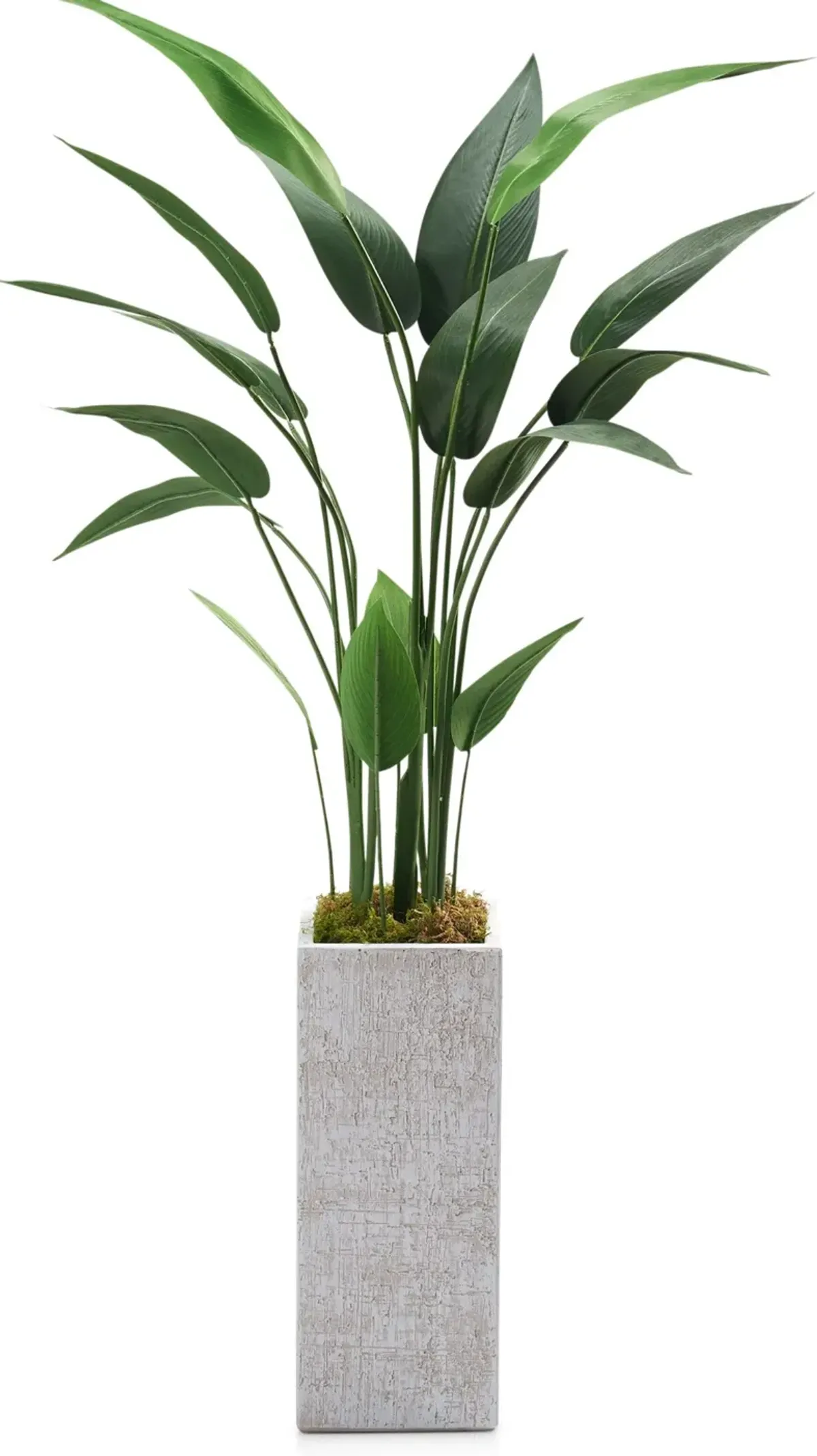 Faux 5' Travellers Palm Tree with White Sanibel Planter - Small