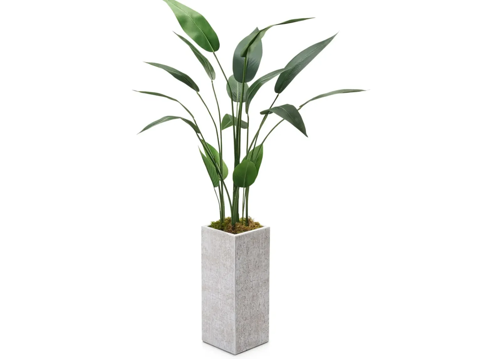 Faux 5' Travellers Palm Tree with White Sanibel Planter - Small