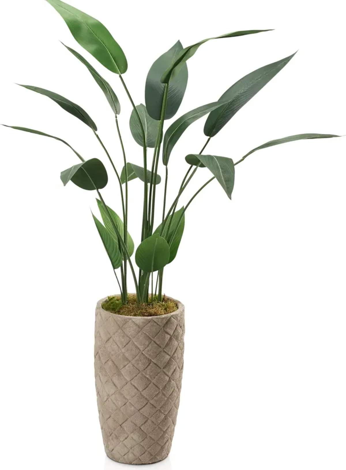 Faux 5' Travellers Palm Tree with Verona Terracotta Planter - Small