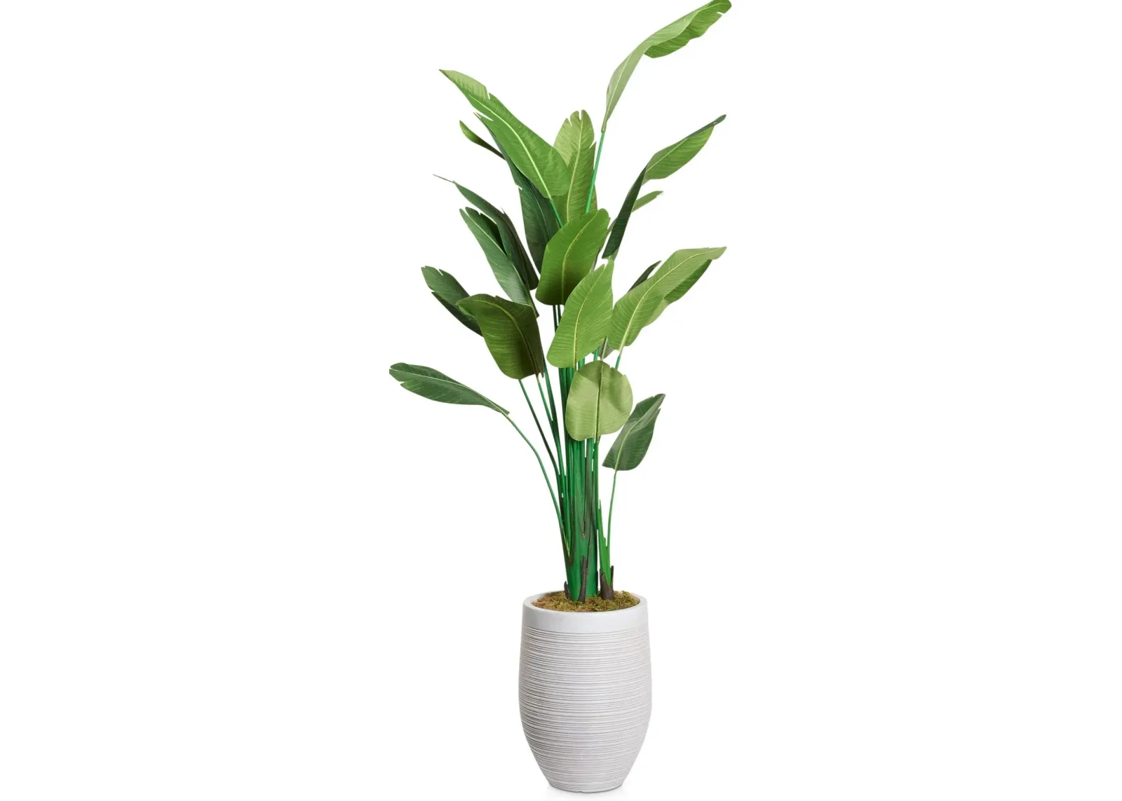 Faux 9.5' Travellers Palm Tree with Laurel Planter - Large