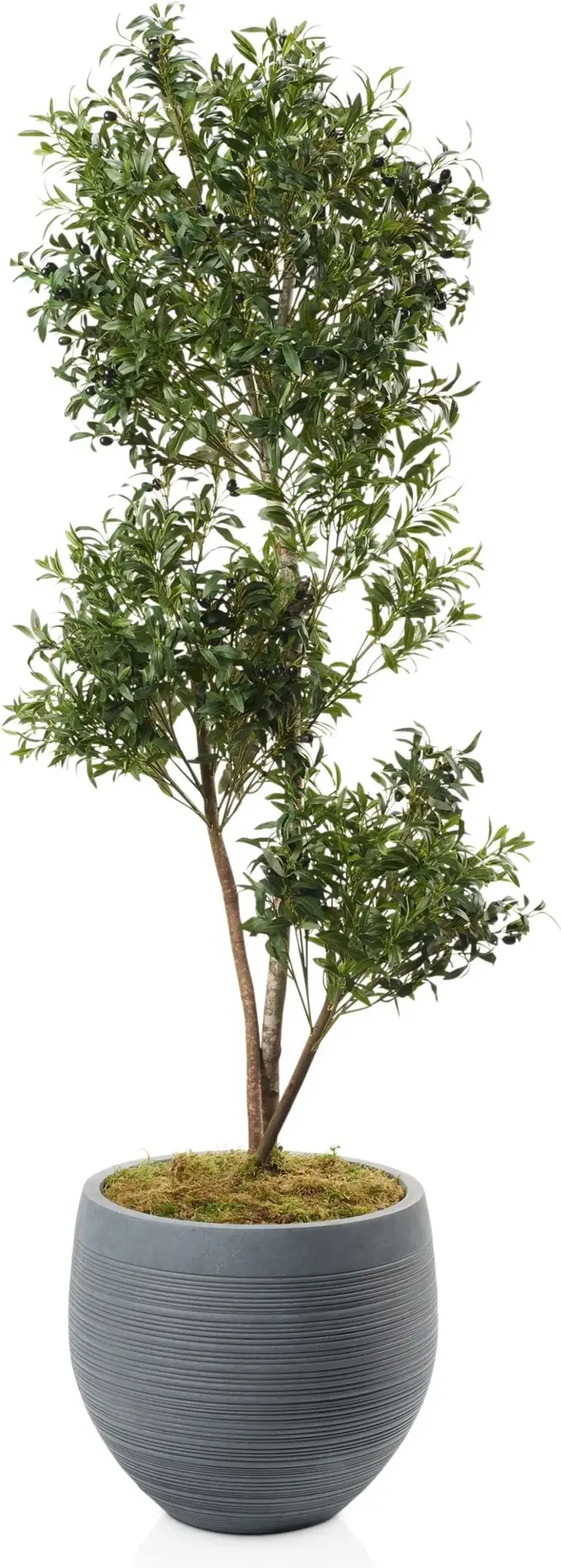 Faux 7.5' Olive Tree with Joel Planter - Large