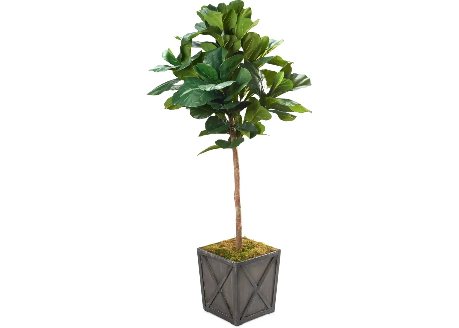 Faux 7' Round Fiddle Leaf Fig Tree with Farmhouse Wood Planter - Large