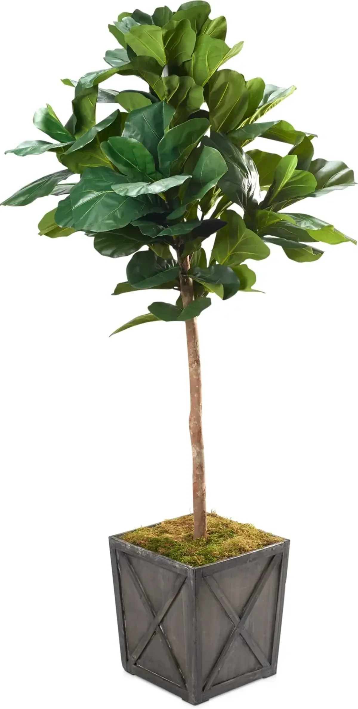 Faux 7' Round Fiddle Leaf Fig Tree with Farmhouse Wood Planter - Large