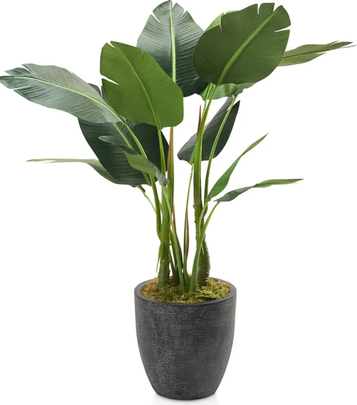 Faux 4.5' Bird of Paradise Plant with Summit Planter - Medium