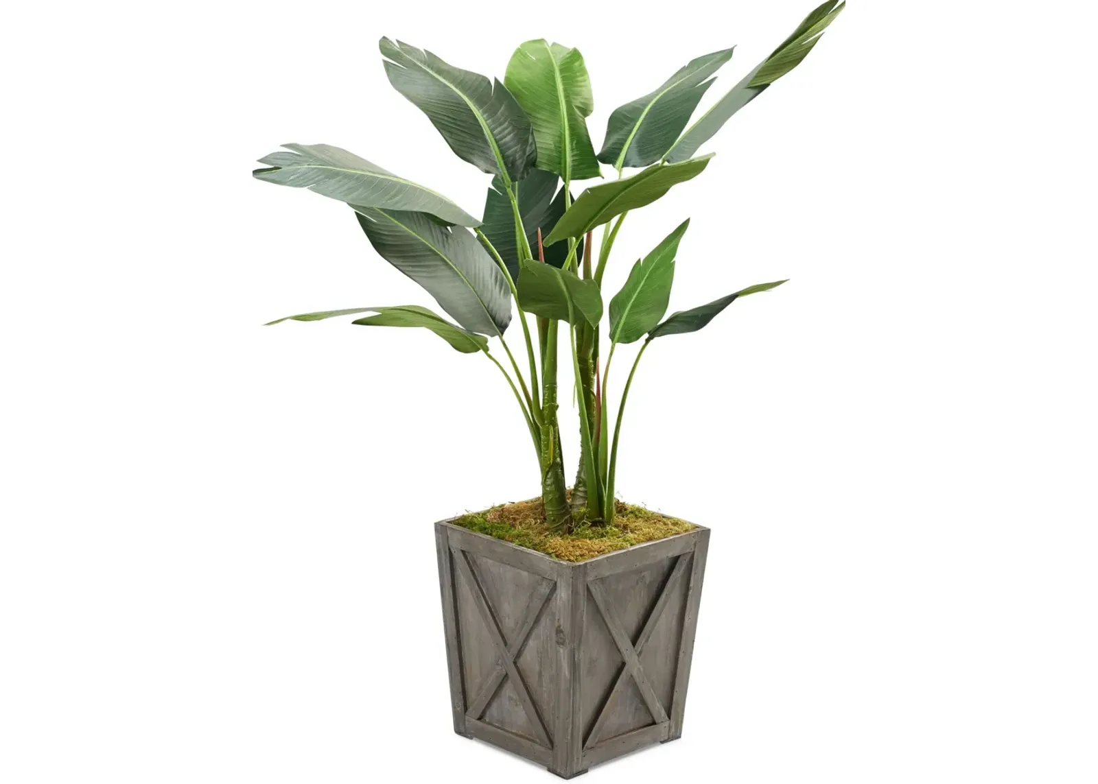 Faux 5' Bird of Paradise Plant with Farmhouse Wood Planter - Medium