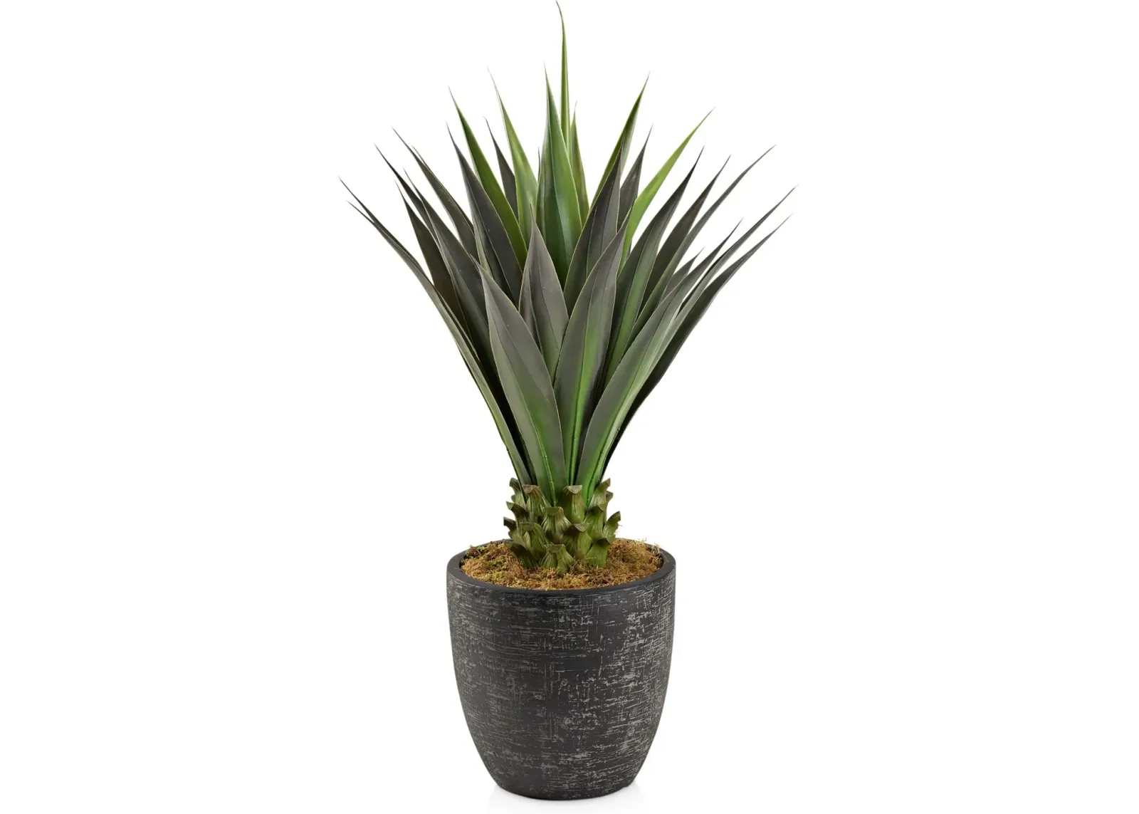 Faux 4.5' Jumbo Agave Plant with Summit Planter - Large