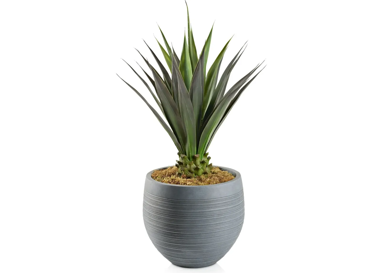 Faux Jumbo Agave Plant with Joel Planter - Large