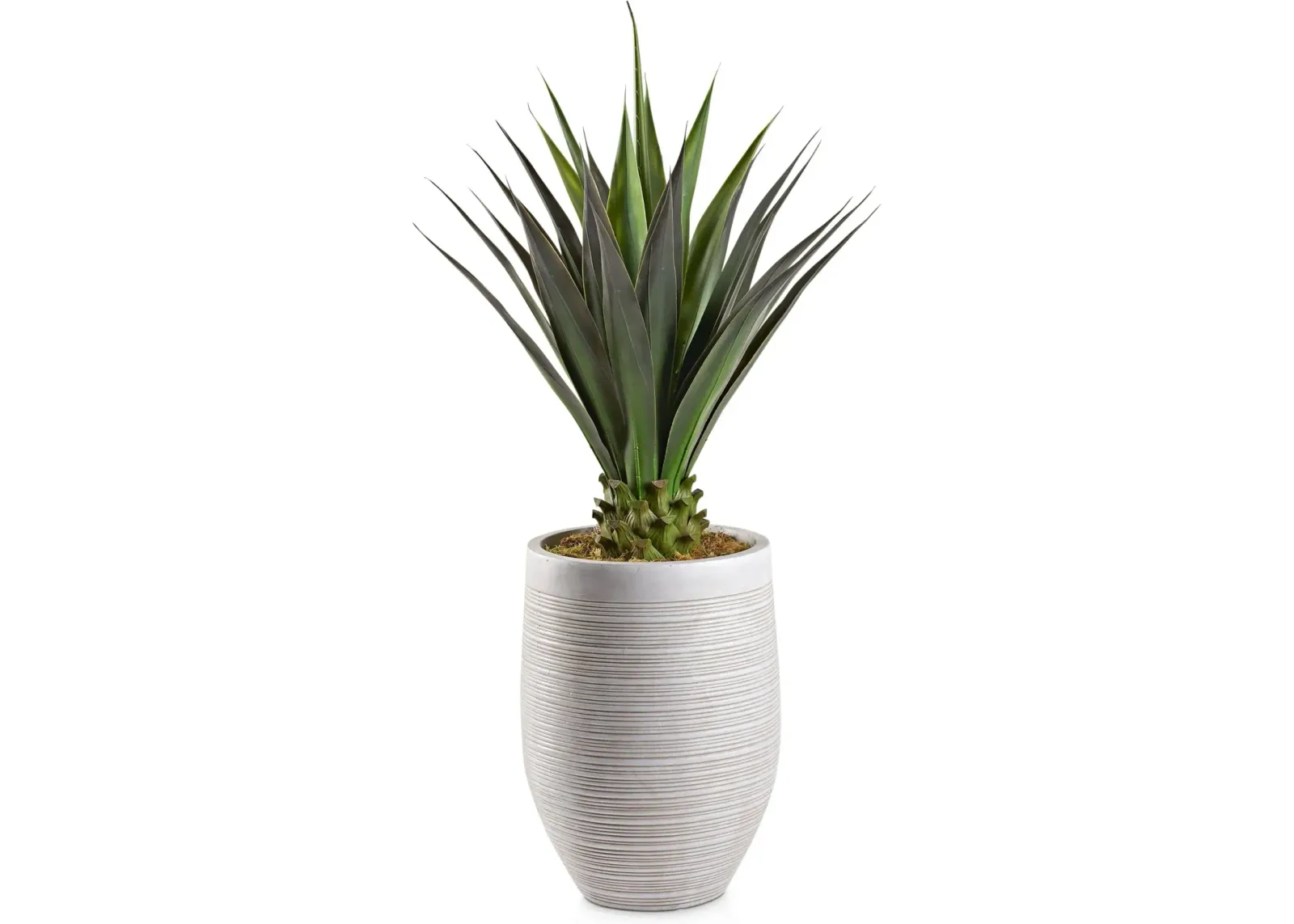 Faux 4.5' Jumbo Agave Plant with Laurel Planter - Medium