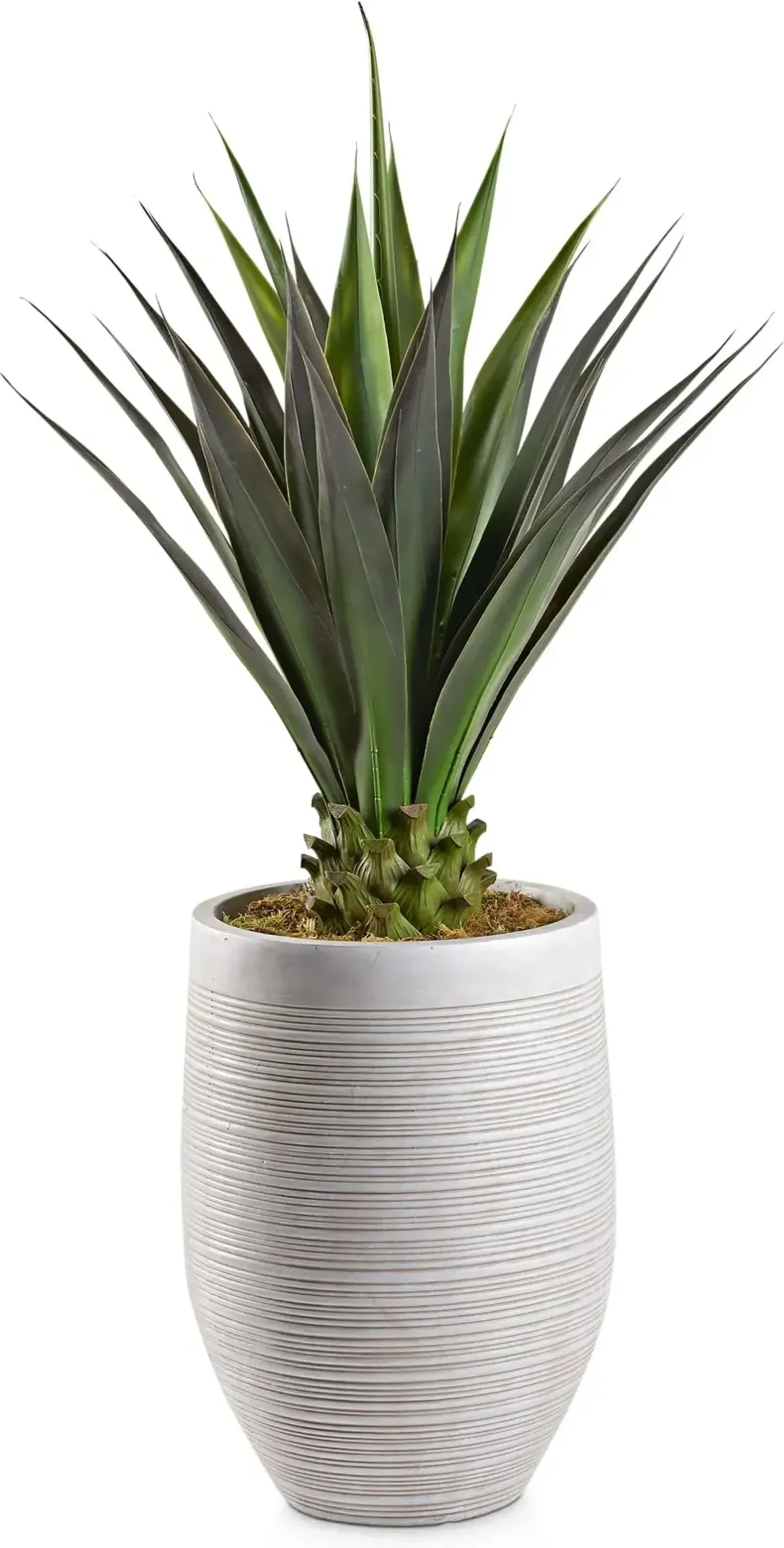 Faux 4.5' Jumbo Agave Plant with Laurel Planter - Medium