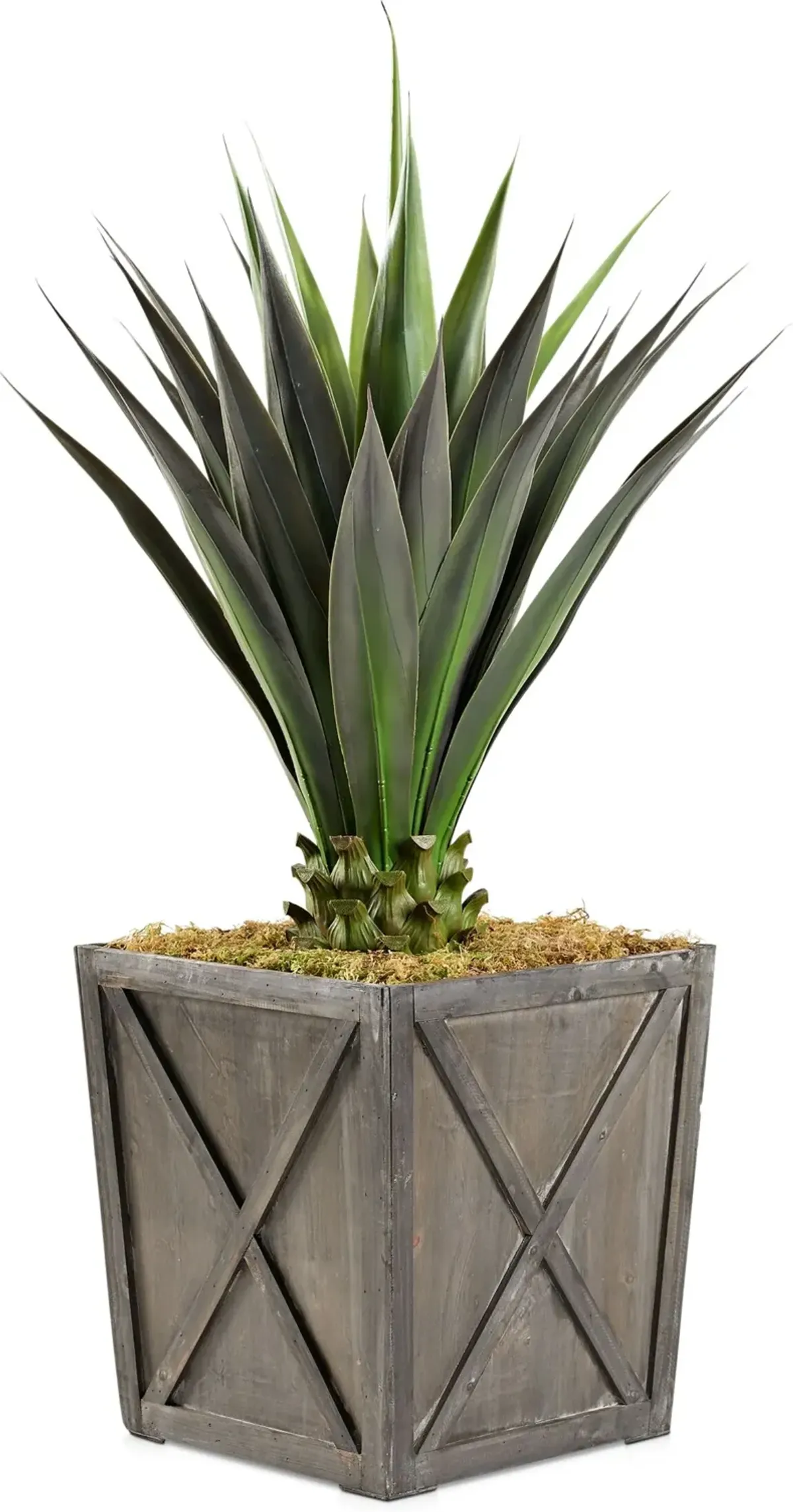 Faux 4.5' Jumbo Agave Plant with Farmhouse Wood Planter - Medium