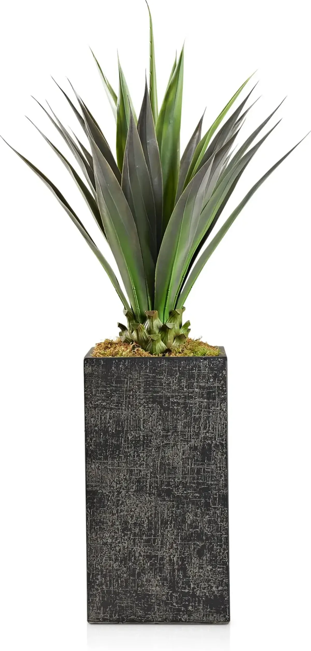 Faux 4.5' Jumbo Agave Plant with Black Sanibel Planter - Large