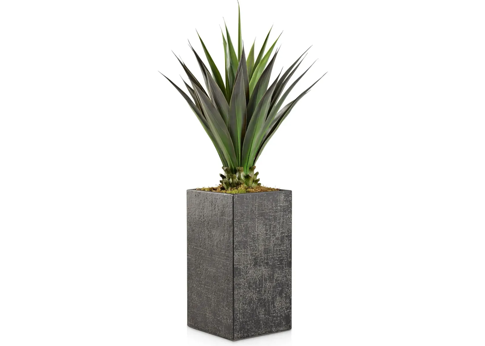 Faux 4.5' Jumbo Agave Plant with Black Sanibel Planter - Large