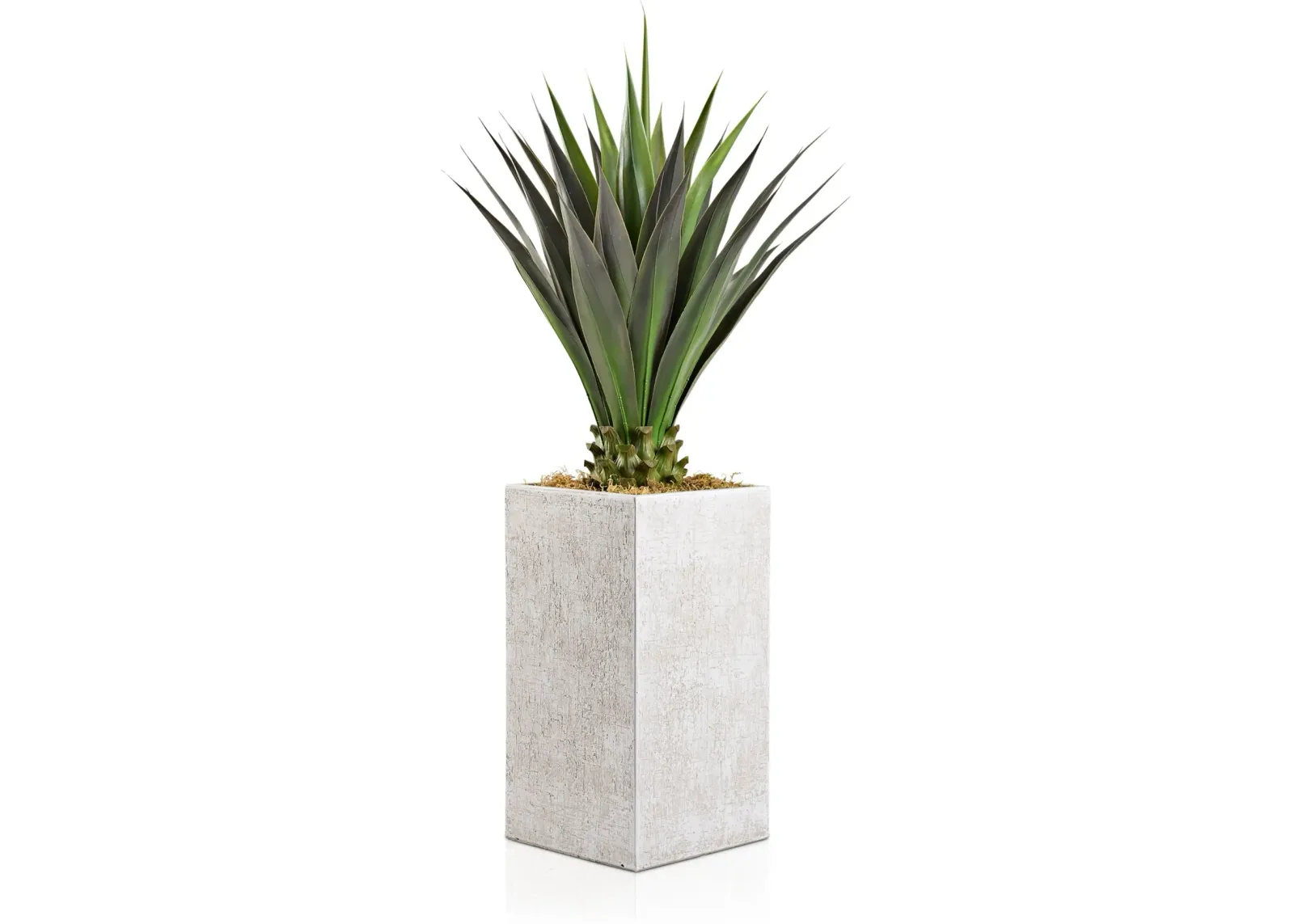 Faux 4.5' Jumbo Agave Plant with White Sanibel Planter - Large