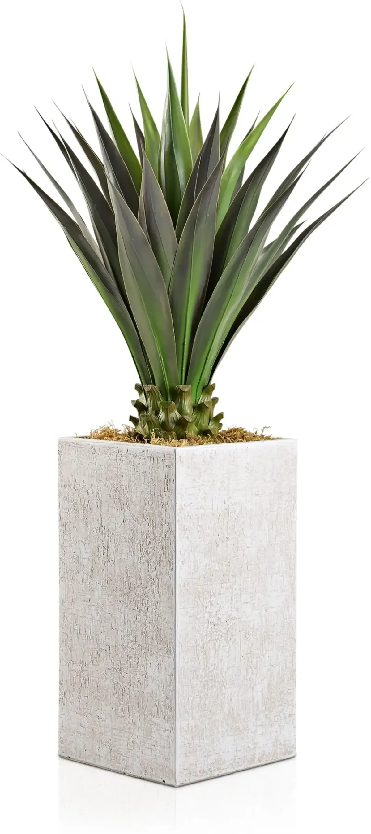 Faux 4.5' Jumbo Agave Plant with White Sanibel Planter - Large