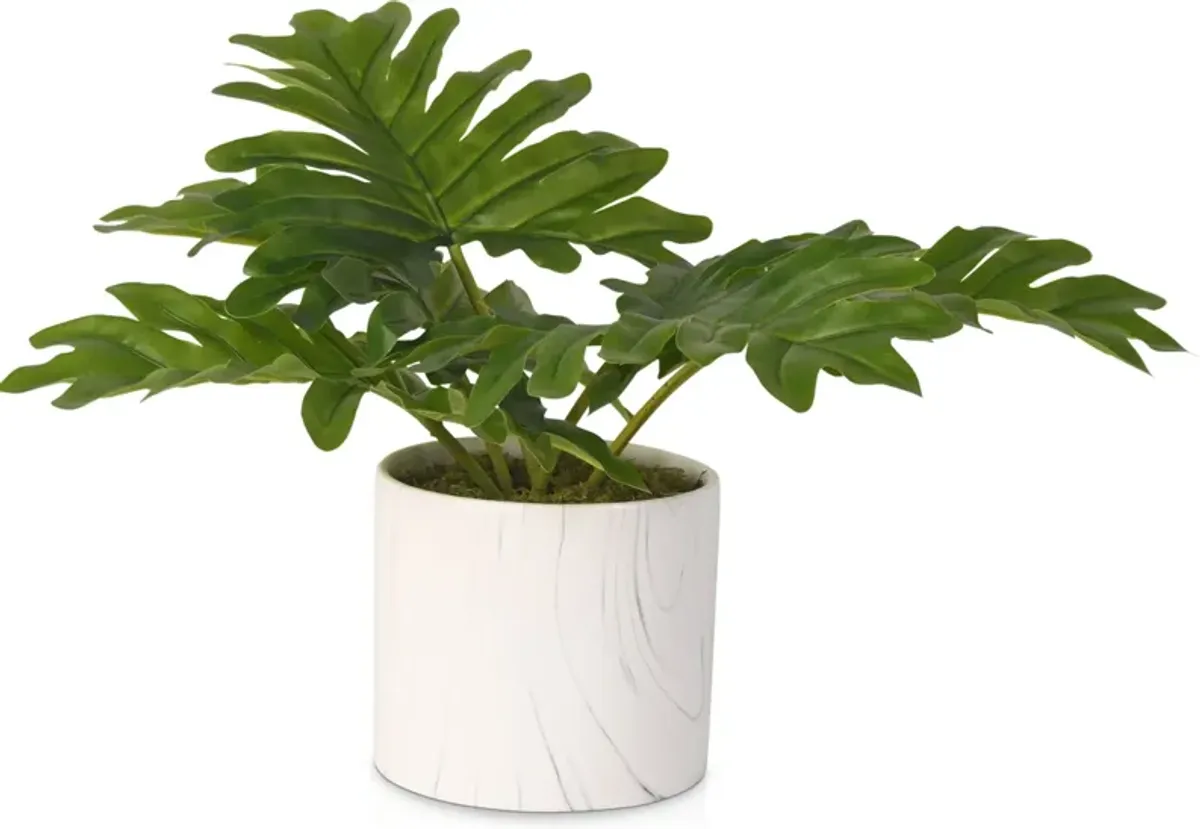 Faux Philo Selloum Plant in Marble Vase - White