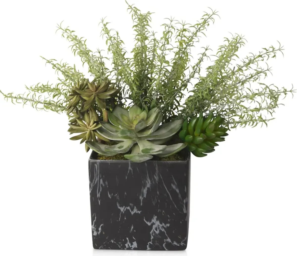 Faux Mixed Succulents and Rosemary Plant in Ceramic Vase - Black