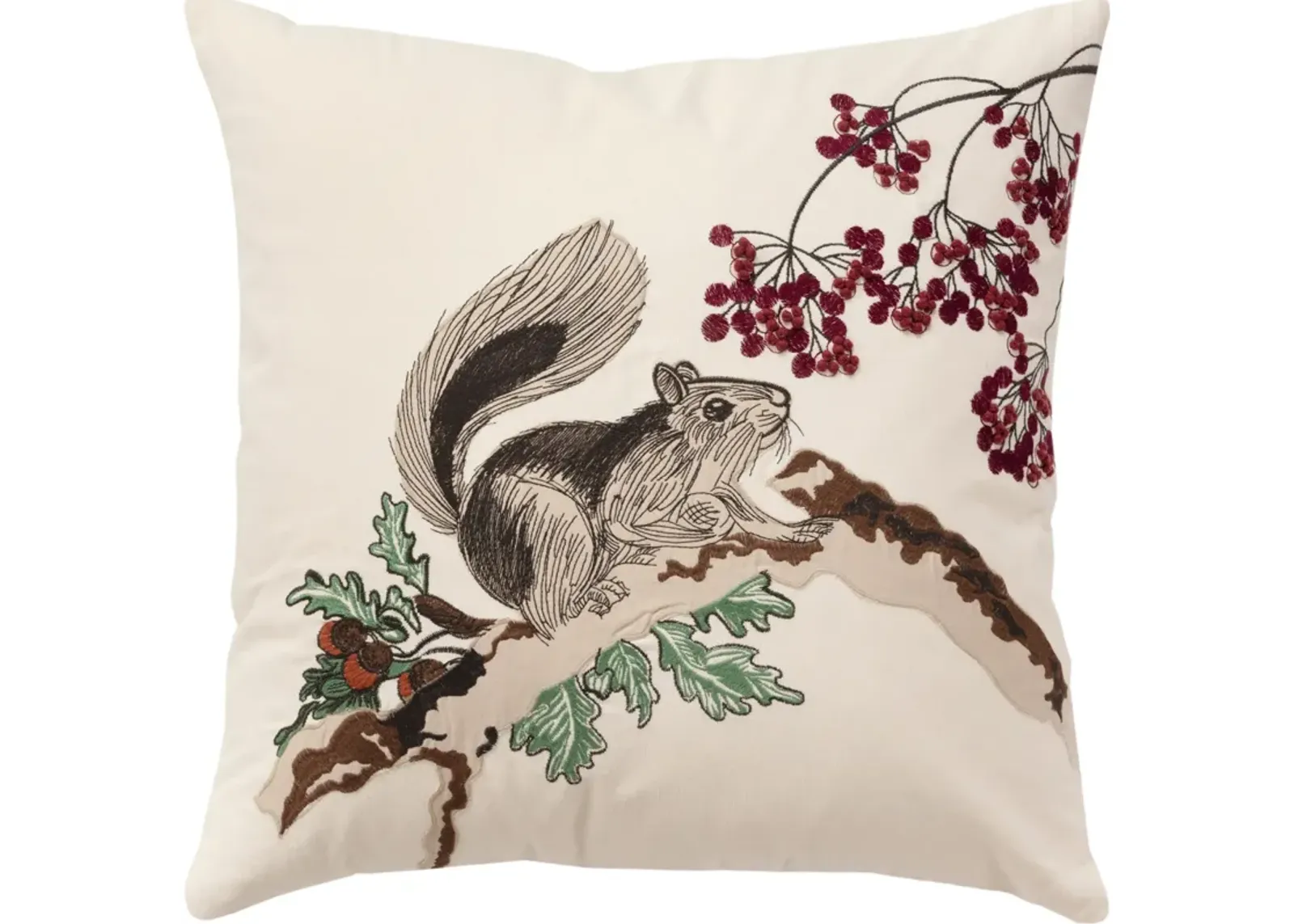 Squirrel 20"x20" Pillow