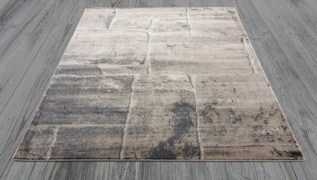 Dami 5' x 8' Area Rug - Gray/Beige