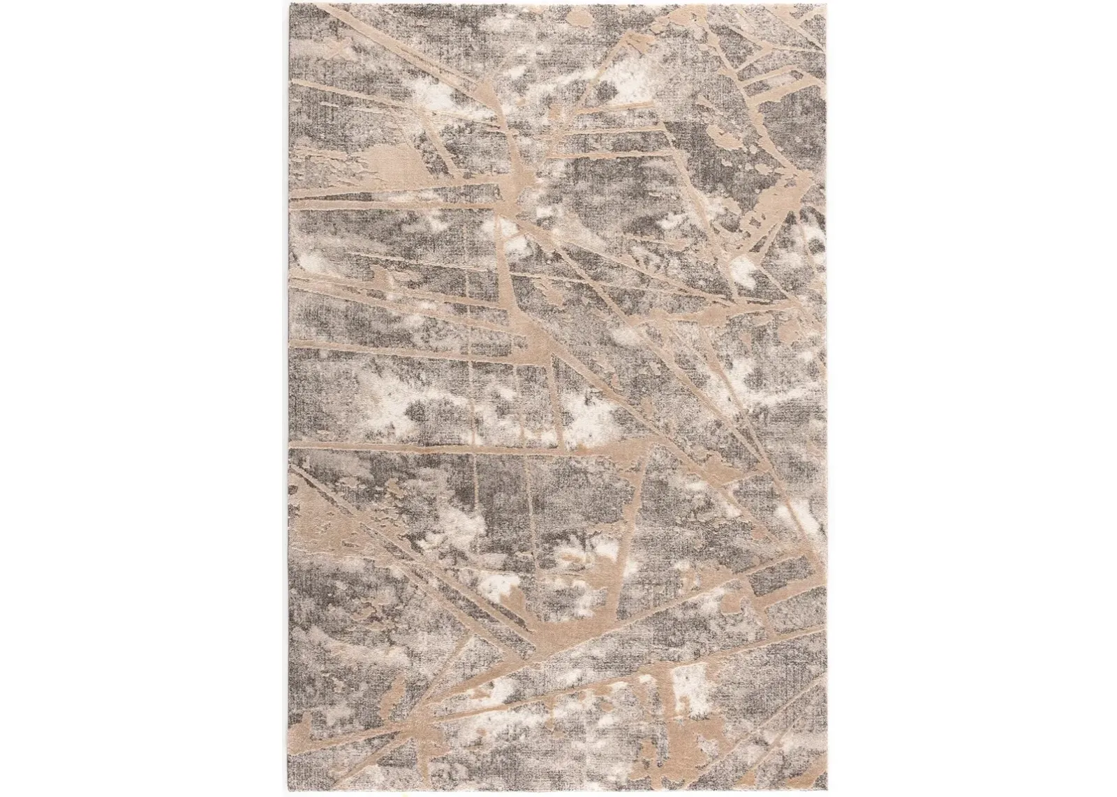 Paige 5' x 8' Area Rug - Beige