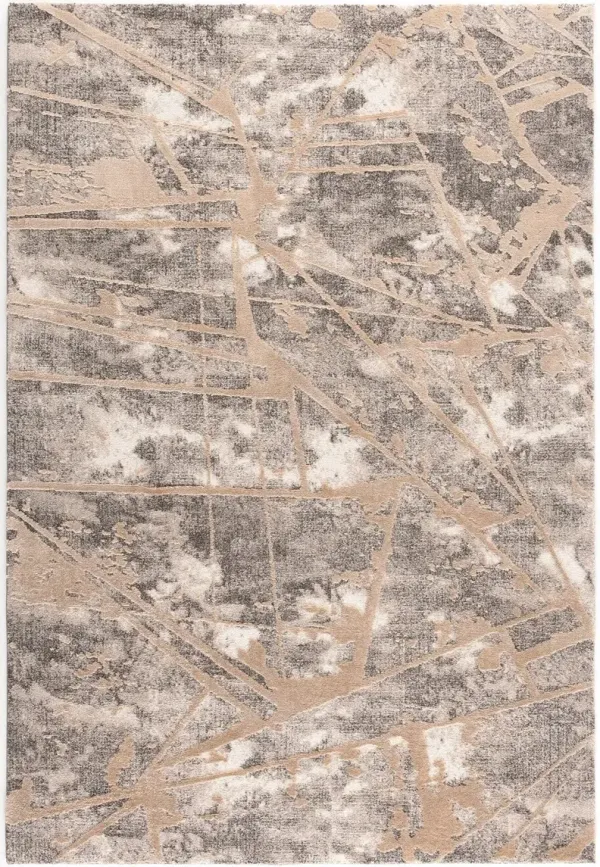 Paige 8' x 10 Area Rug -  Beige