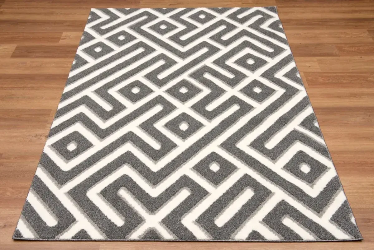 Deji 5' x 8' Area Rug -  Gray/White