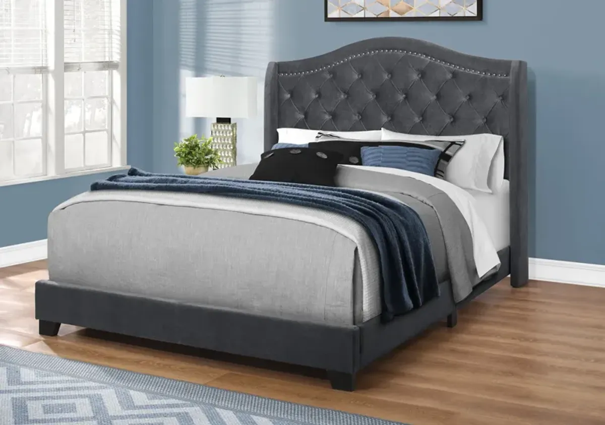 Norma Queen Upholstered Bed - Gray Velvet