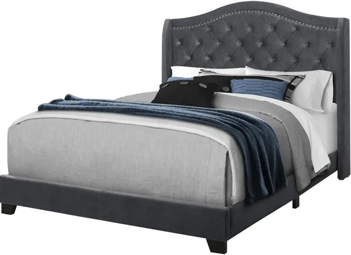 Norma Queen Upholstered Bed - Gray Velvet